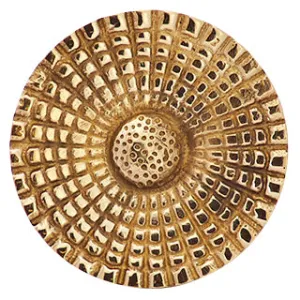 1 1/2 Solid Brass Art Deco Style Round Knob (Polished Brass Finish)