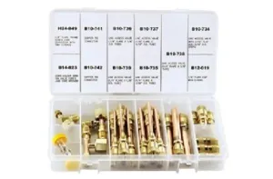 C & D Valve Co CD9520SVK Access Valve Kit