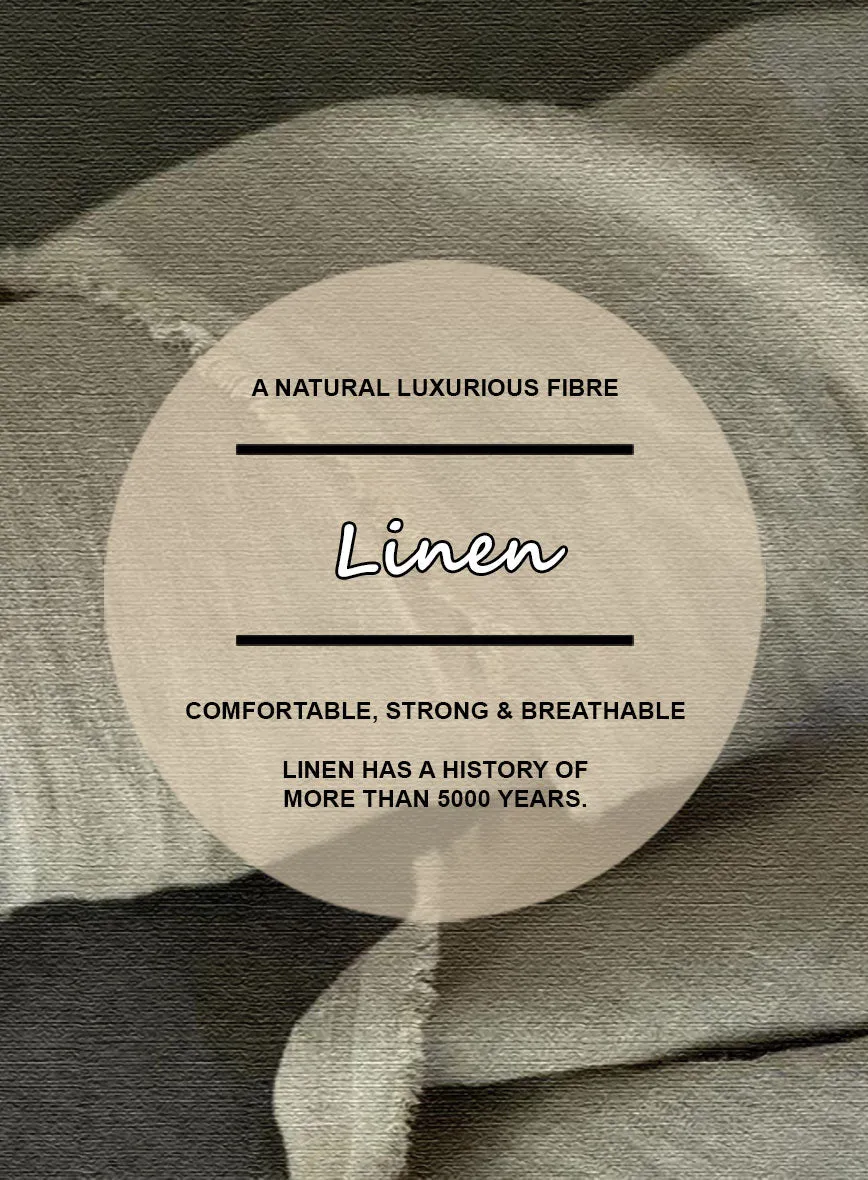 Italian Zod Light Gray Linen Pants