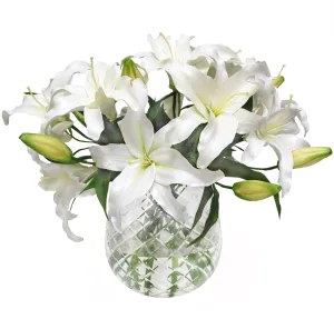 Lily Casablanca in Diamond Cut Vase 17"