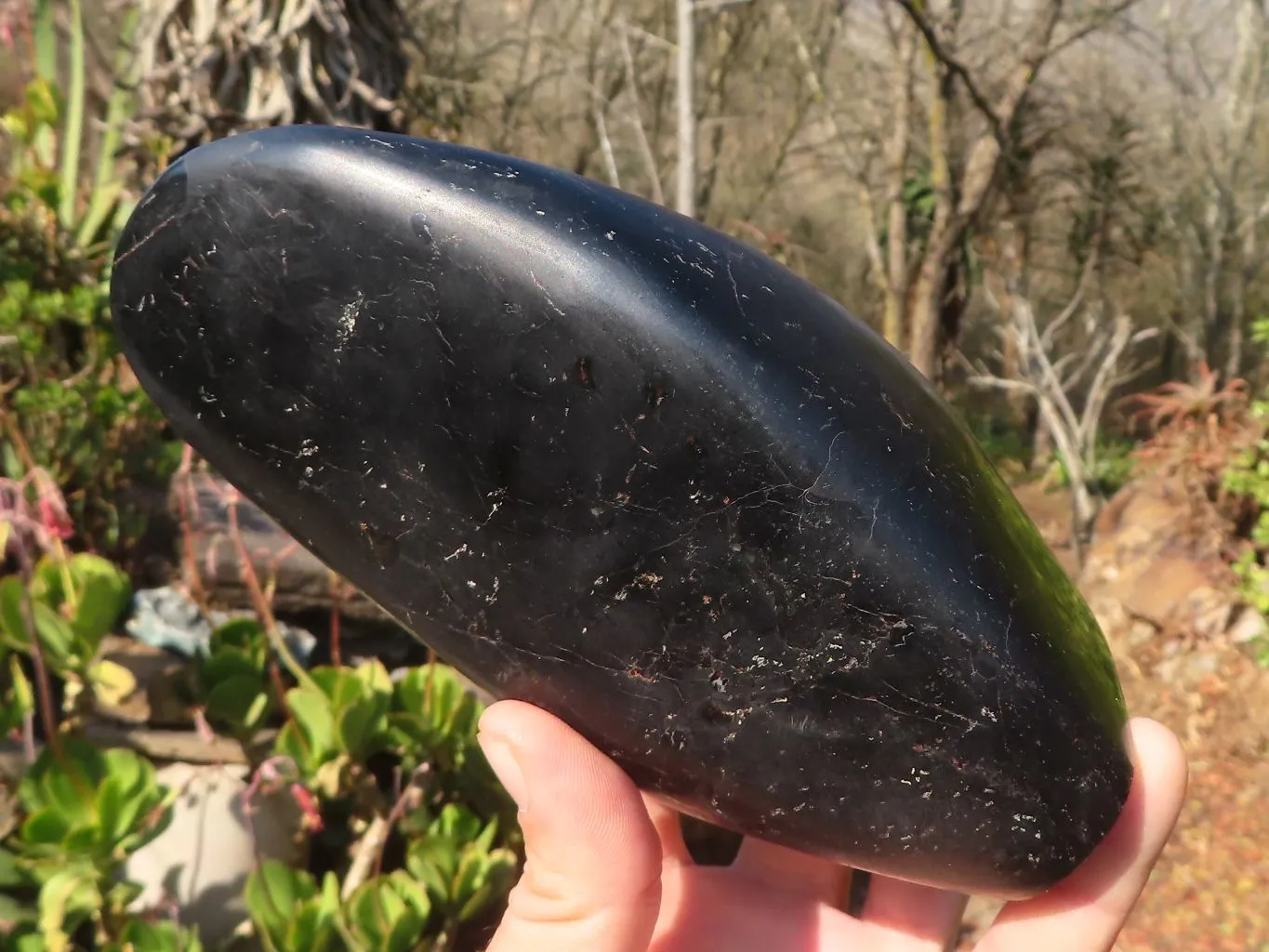Polished Black Tourmaline Standing Free Form  x 1 From Madagascar