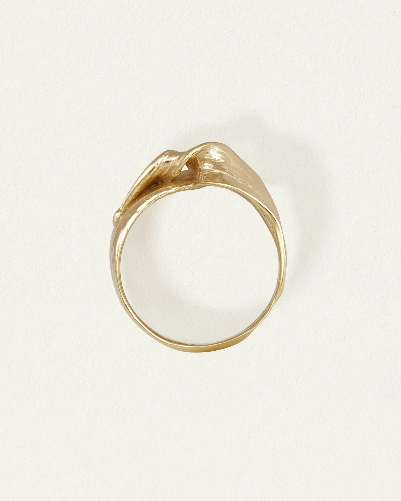 Relic VI Ring Solid Gold