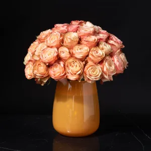 Roses - Orange