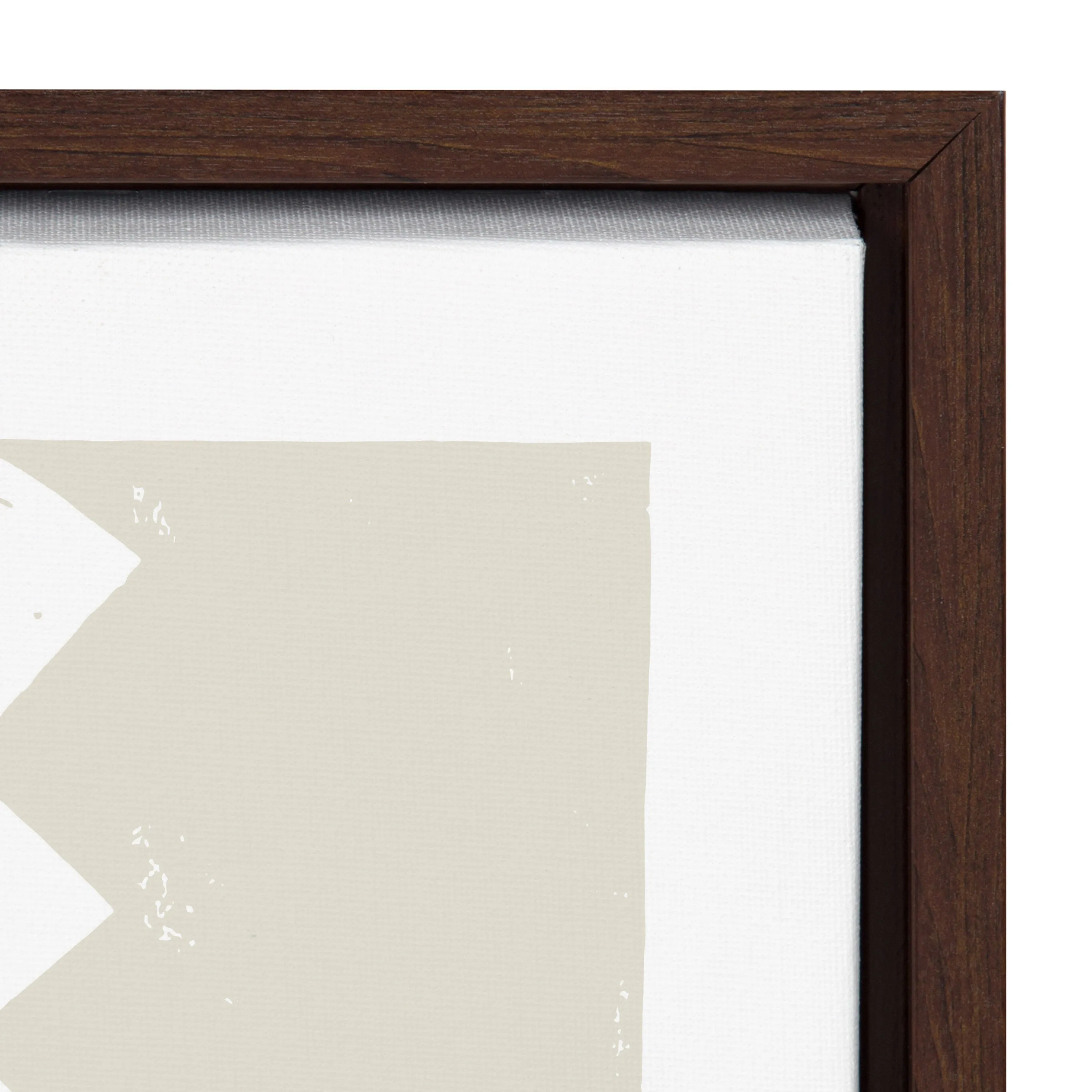 Sylvie Burst Neutral Framed Canvas by Statement Goods
